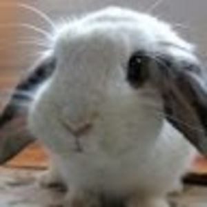 Meet your Posher, Jacquelyn